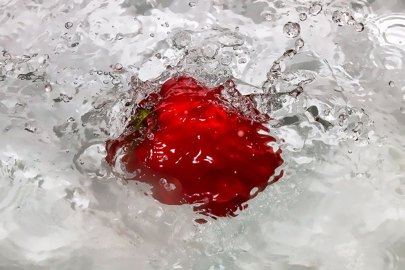 De paprika by Michel Kant