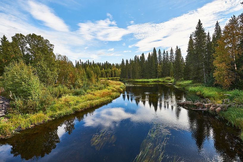 Fluss in Schweden Nr. 1 von Geertjan Plooijer