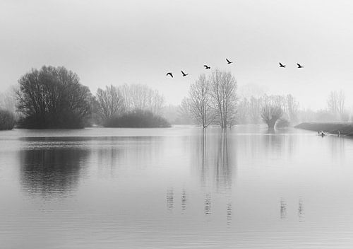 Landschap IJssel
