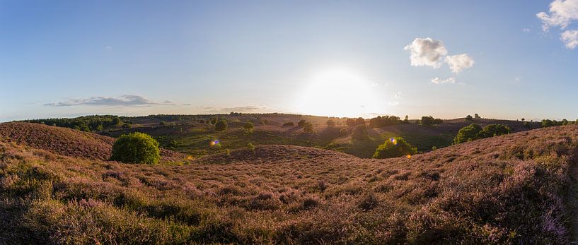 Zonsondergang boven de paarse heide op de Posbank von Stefan van der Wijst