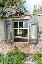 oude raamluiken met doorkijk van Willem Visser thumbnail