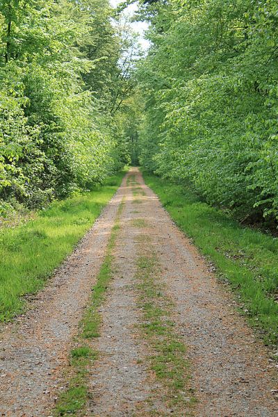 The path into the countryside by Bengt Schrum