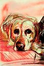 Malerei blond labrador retriever von Gemälde Liesbeth Serlie Miniaturansicht