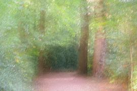 Où ce chemin mène-t-il ? (1) sur JanfolkerT Muizelaar