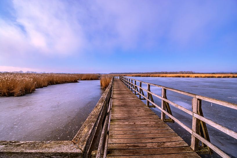 BADEN-WÜRTTEMBERG : BAD BUCHAU - FEDERSEESTEG by Photoart-Naegele
