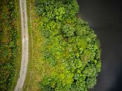 Landschap met pad, bossen en water van Mariska Vereijken thumbnail