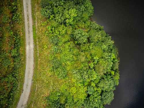 Landschap met pad, bossen en water