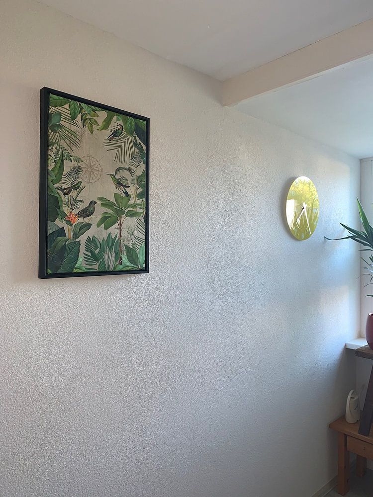 Reise Ins Paradies Der Vögel von Andrea Haase