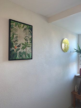 Reise Ins Paradies Der Vögel