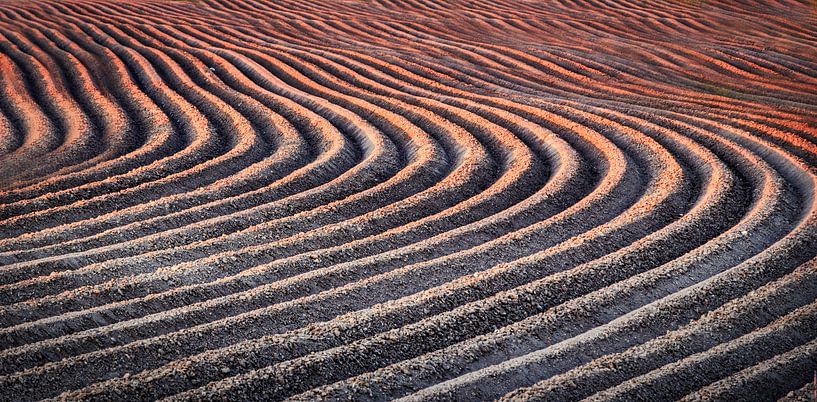 processed fields by Rudi Everaert