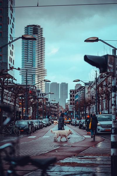 Promener le chien par Jelte Lagendijk
