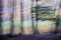 Dansend bos