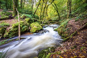 Gorges de la Canche Morvan Frankrijk van Mario Brussé Fotografie