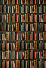 Books, and then some more von Marja van den Hurk