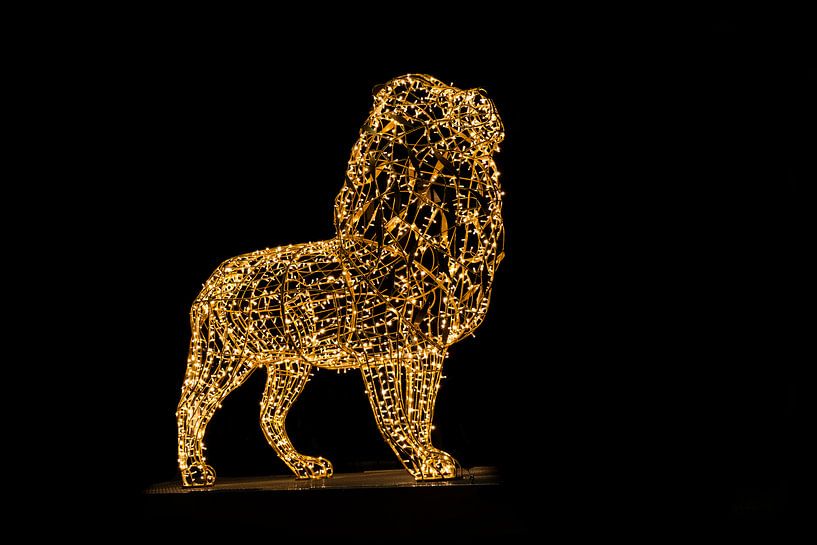 enlightened lion in Emmen by Miranda Heemskerk