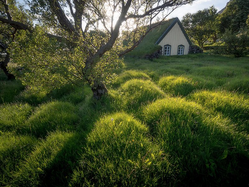 Hofskirkja par Roelof Nijholt