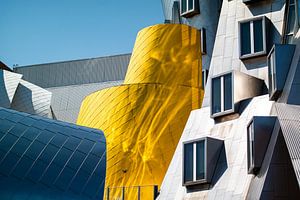 Das Ray und Maria Stata Center, MIT, Boston