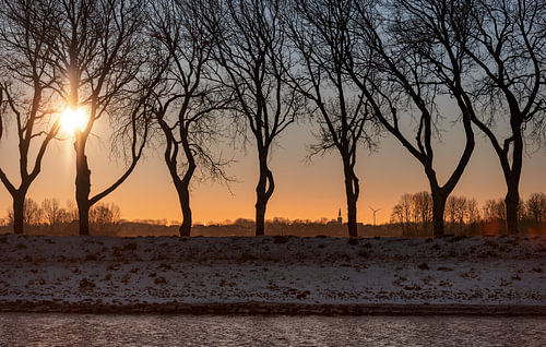 Winterse zonsopkomst tussen de bomen