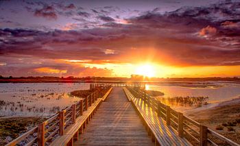 Polderleben Sonnenuntergang