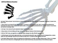 Multiple bones 13473.10