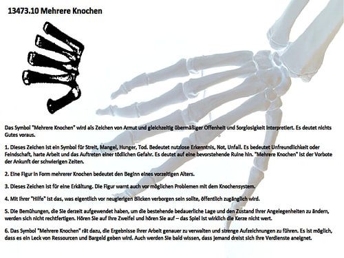 Meerdere botten 13473.10