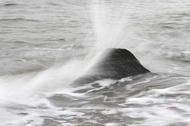 Platsch! von Jörg Hausmann