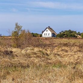 Ferienhaus zwischen Vitte und Neuendorf auf der Insel Hiddensee von Rico Ködder