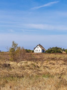 Holiday home between Vitte and Neuendorf on the island of Hiddensee by Rico Ködder