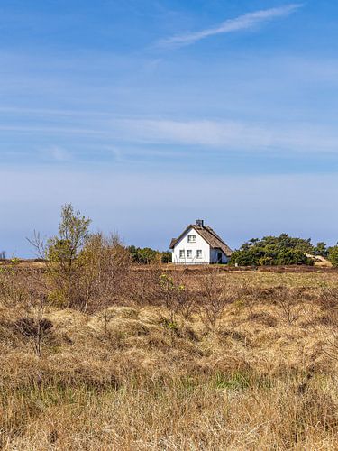 Vakantiehuis tussen Vitte en Neuendorf op het eiland Hiddensee