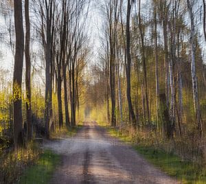 chemin de ronde abstrait