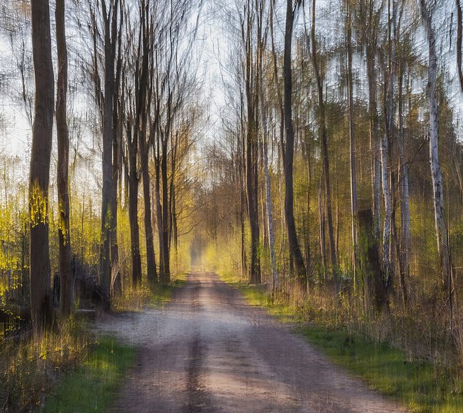 abstract walkway by Tania Perneel