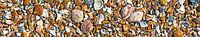 Shells on the beach (panorama) by Fotografie Jeronimo thumbnail