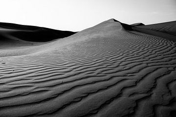 Wüstenlandschaft  in Schwarz und Weiß von Roel Beurskens