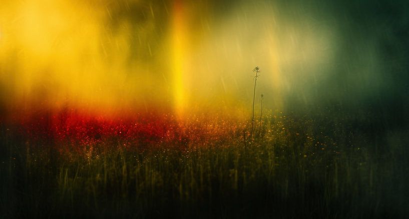 Mystisches Licht in der Landschaft von fernlichtsicht