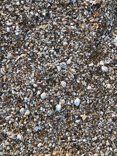 Les pieds dans le sable