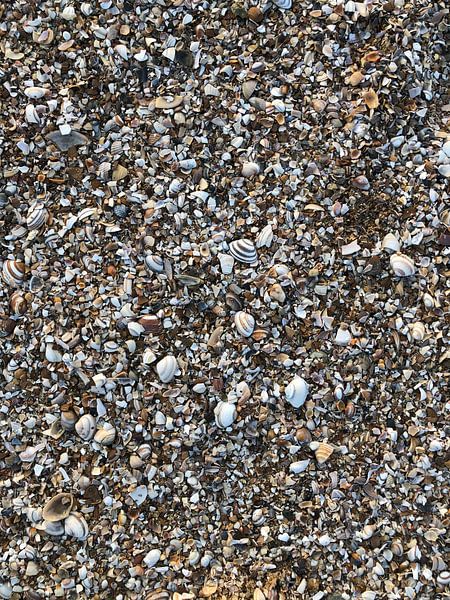 Les pieds dans le sable par Sanne Van der avoird