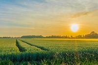't Drentse land