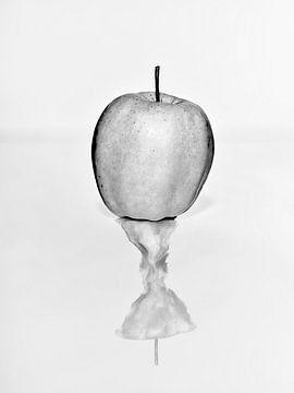 Reflection apple by Martijn Hoogendoorn