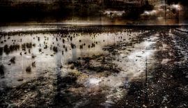 rust von JF art
