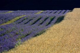 PROVENCE 9 sur Miroslav Ptacek