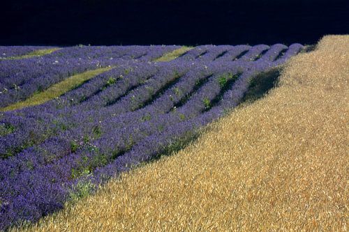 PROVENCE 9
