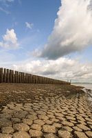 Strandhoofd met stapelwolken