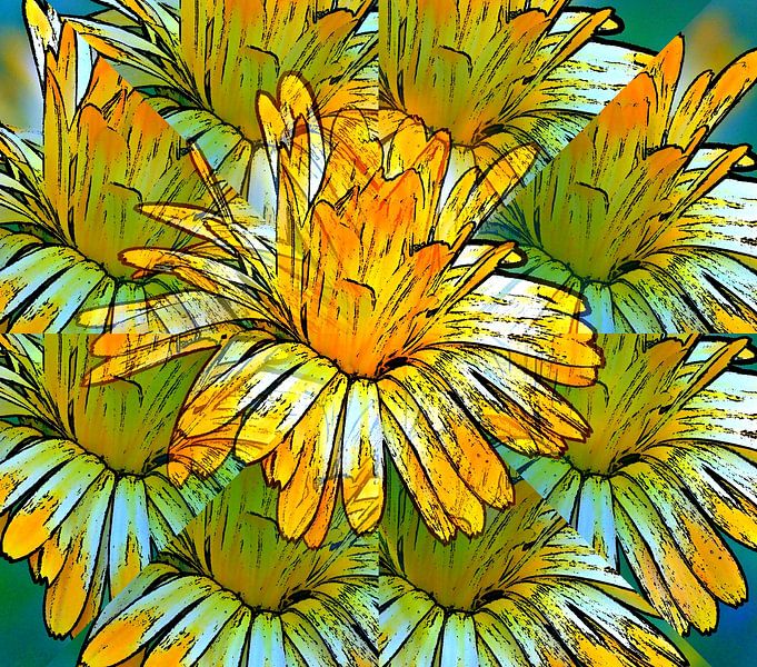 Marigold ( delusion ) by Jose Lok