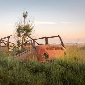 When nature takes over van Murielle Peemans