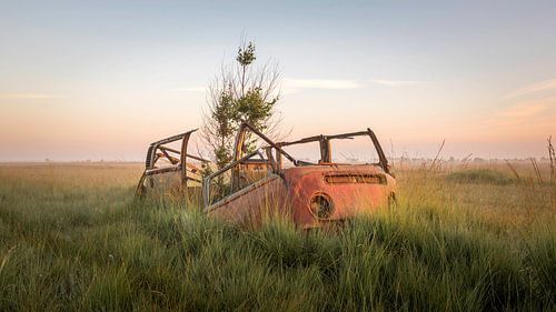 Quand la nature prend le dessus