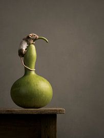 Seidenmaus auf Kürbisflasche von Mariska Vereijken