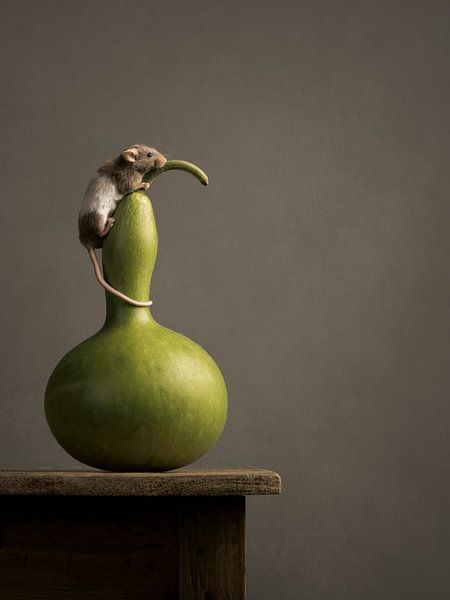 Zijde muis op fles pompoen van Mariska Vereijken
