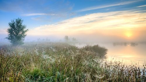Zonsopkomst boven moeras landschap