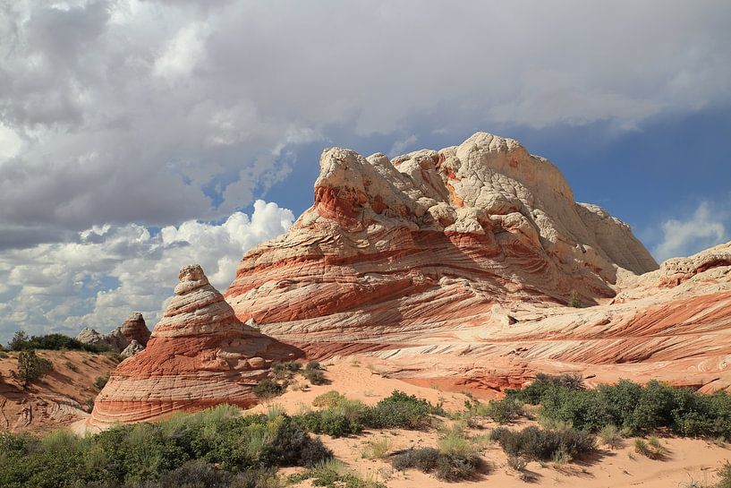 White Pocket, Vermilion Cliffs National Monument, Arizona van Frank Fichtmüller