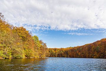 Uitzicht over het Schmaler Luzin meer naar de Feldberge in herfsttooi van Rico Ködder